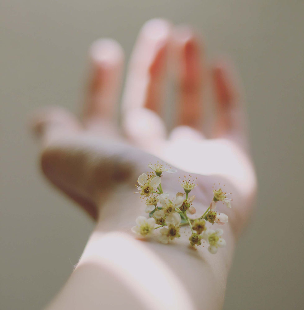 Immunsystem-Sanft Blume auf einer Hand