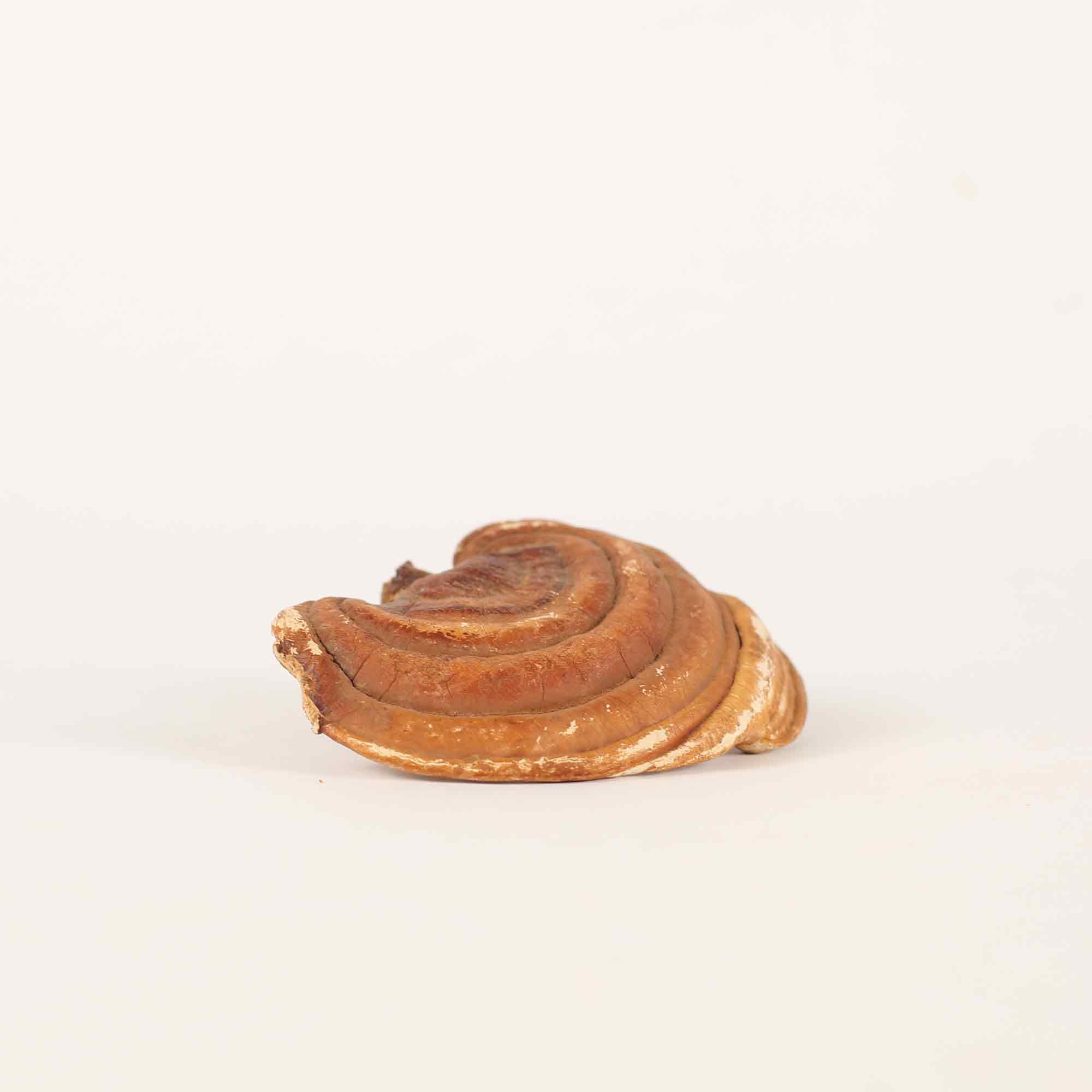 Blätterteig, Kuchen, Schnecke, Gebäck, Zimtrolle