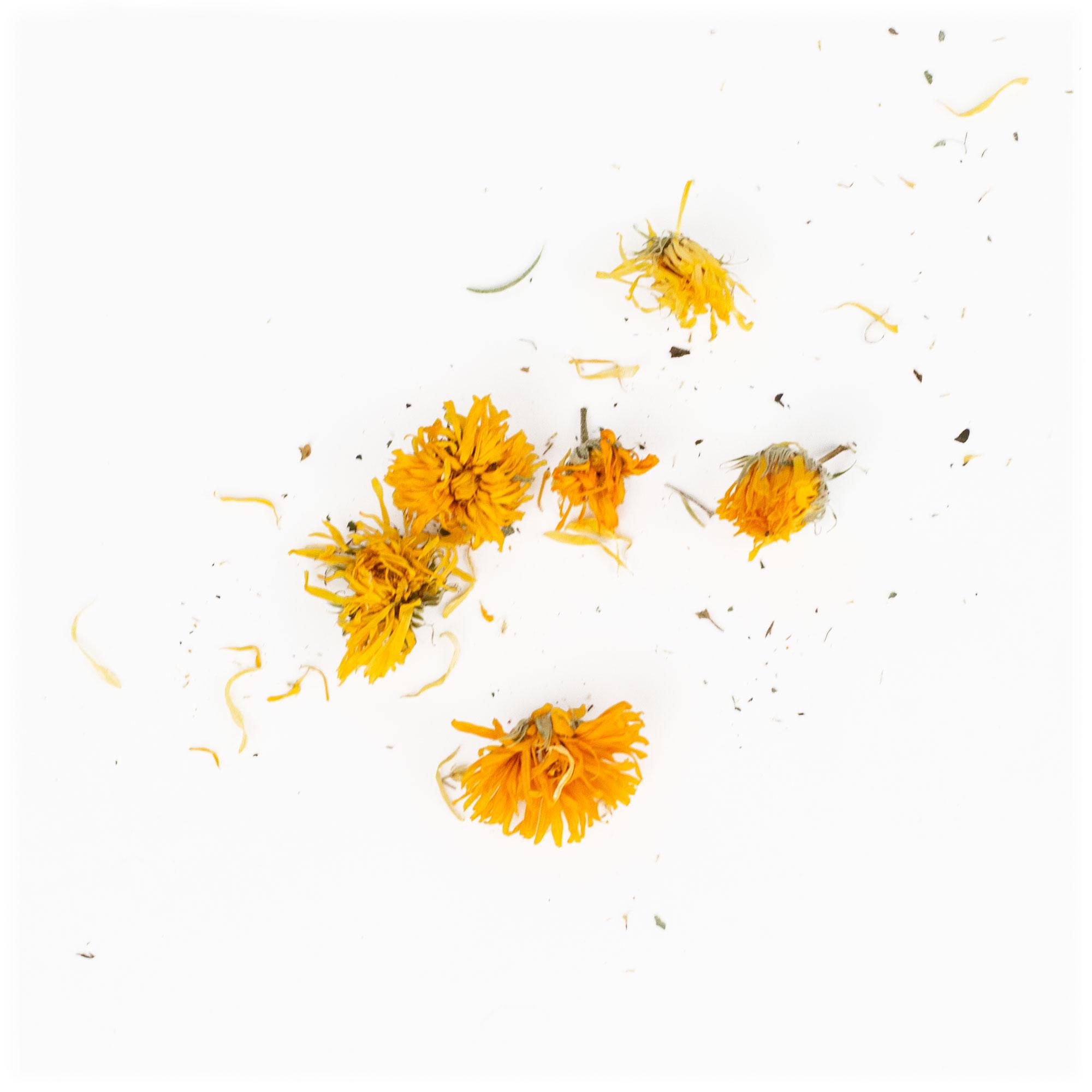 Löwenzahnblumen, Gelbe Blumen, Blütenblätter, Kräuterblumen, Botanische Gegenstände