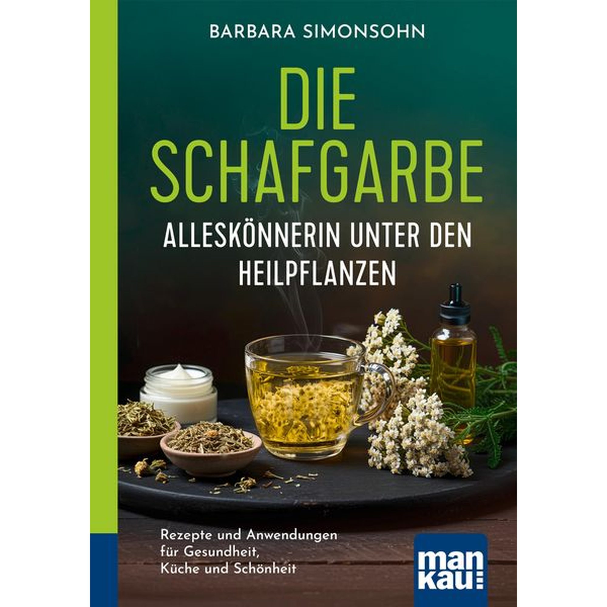 Schafgarbe Pflanze mit Blüte