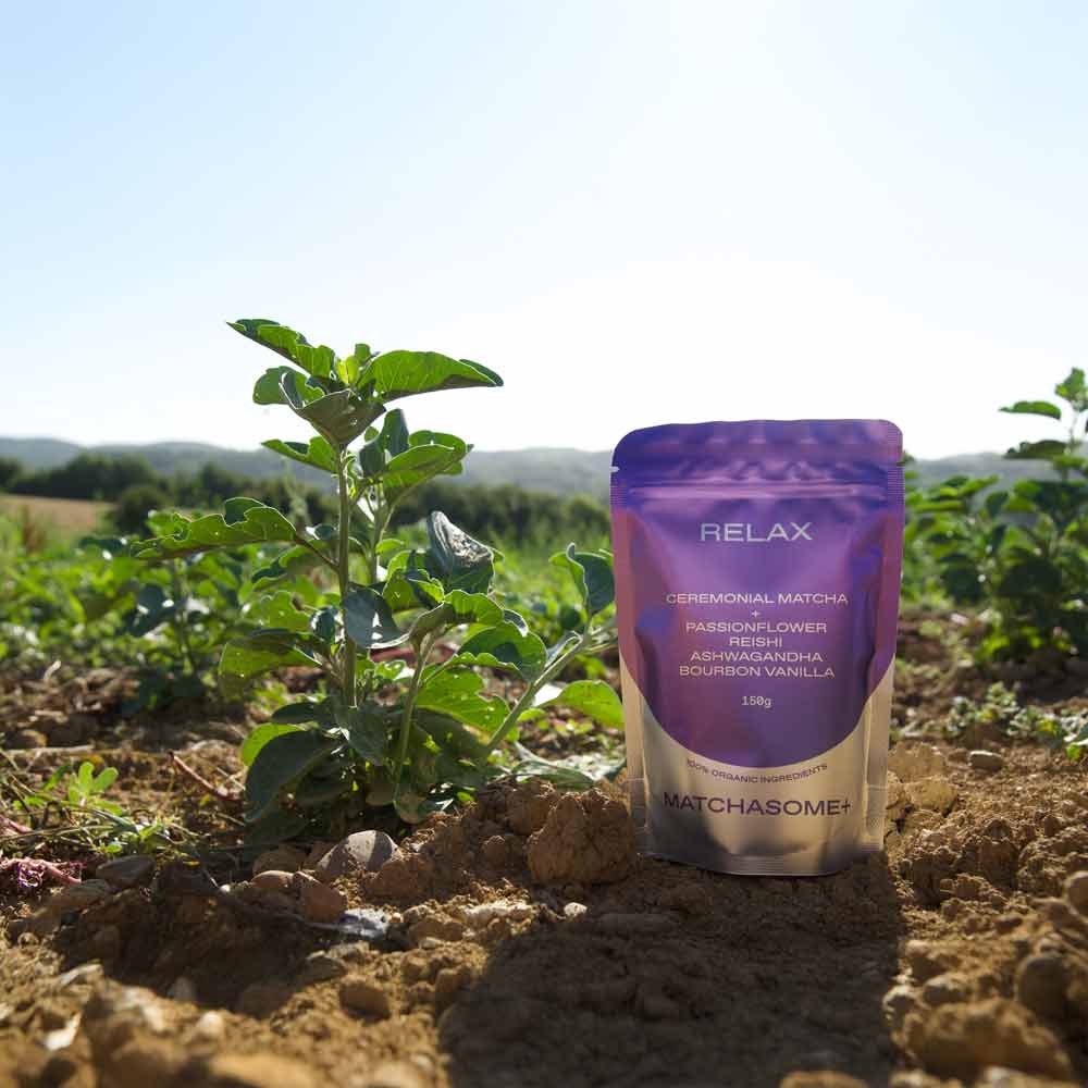 Matcha powder, Kräutertee, Stand-up-Beutel, Lila Verpackung, 150g