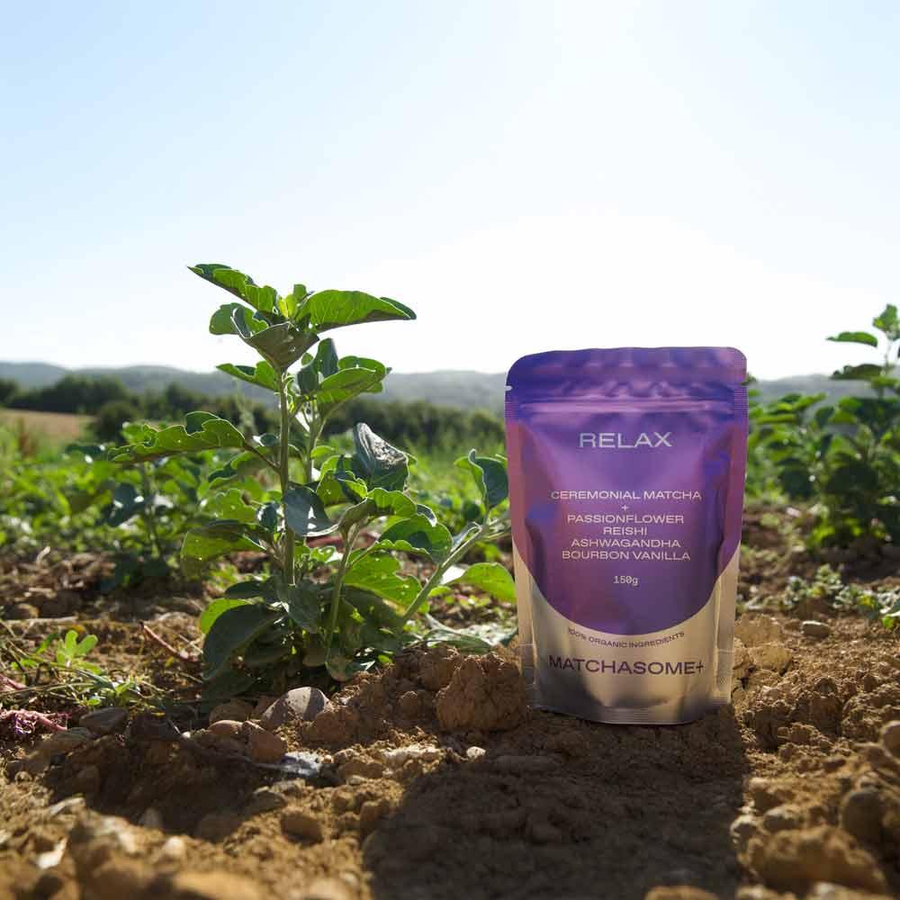 tee, tee, matcha, beutel, garten, Matcha-Tee, Beutel, lila Verpackung, Pflanzenfeld, Bio-Zutaten