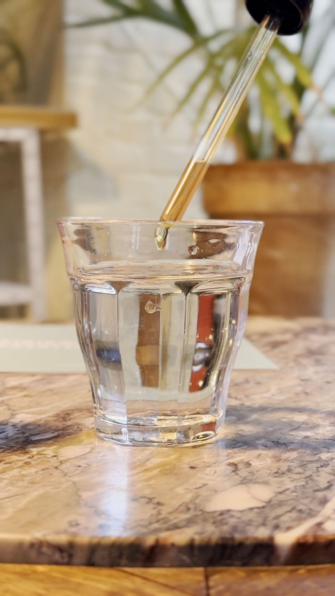 Karde Tinktur Pipette Glas Karde Tinktur alkoholfrei Anwendung