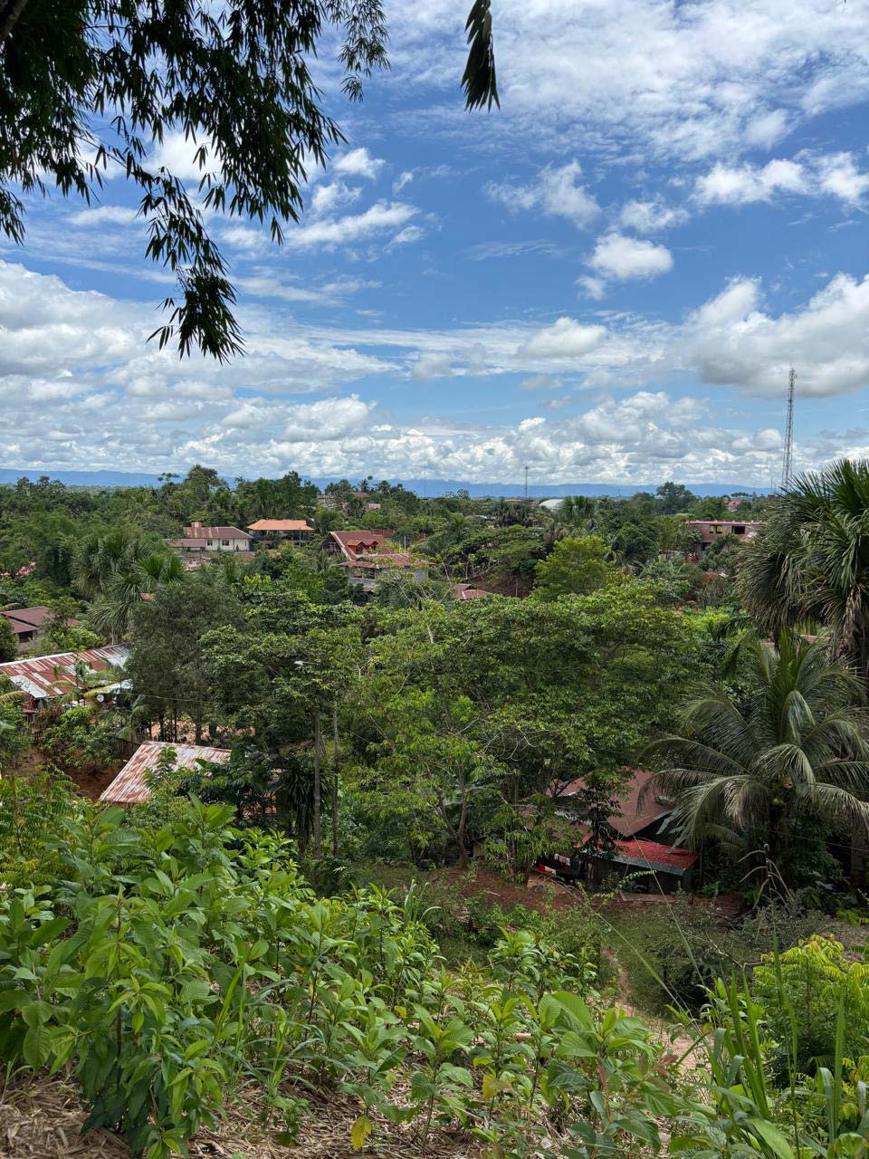 Dorf im Urwald Peru Dorf der Ashaninka im Urwald, Peru