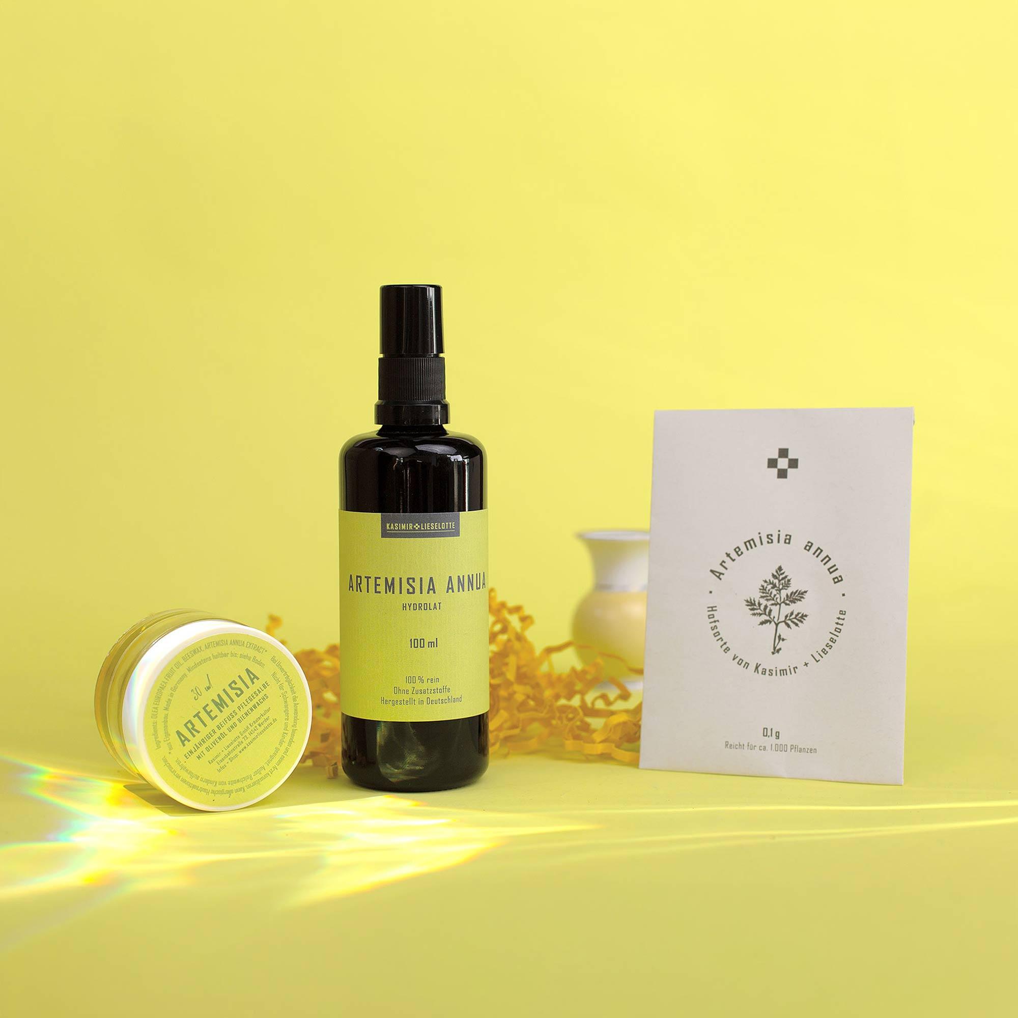 Kleines Artemisia annua Geschenkpaket