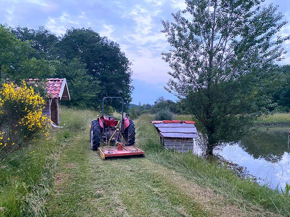 Bio demeter Hof Kasimir Lieselotte Bio demeter Hof mit See Kasimir Lieselotte, Artemisia Annua