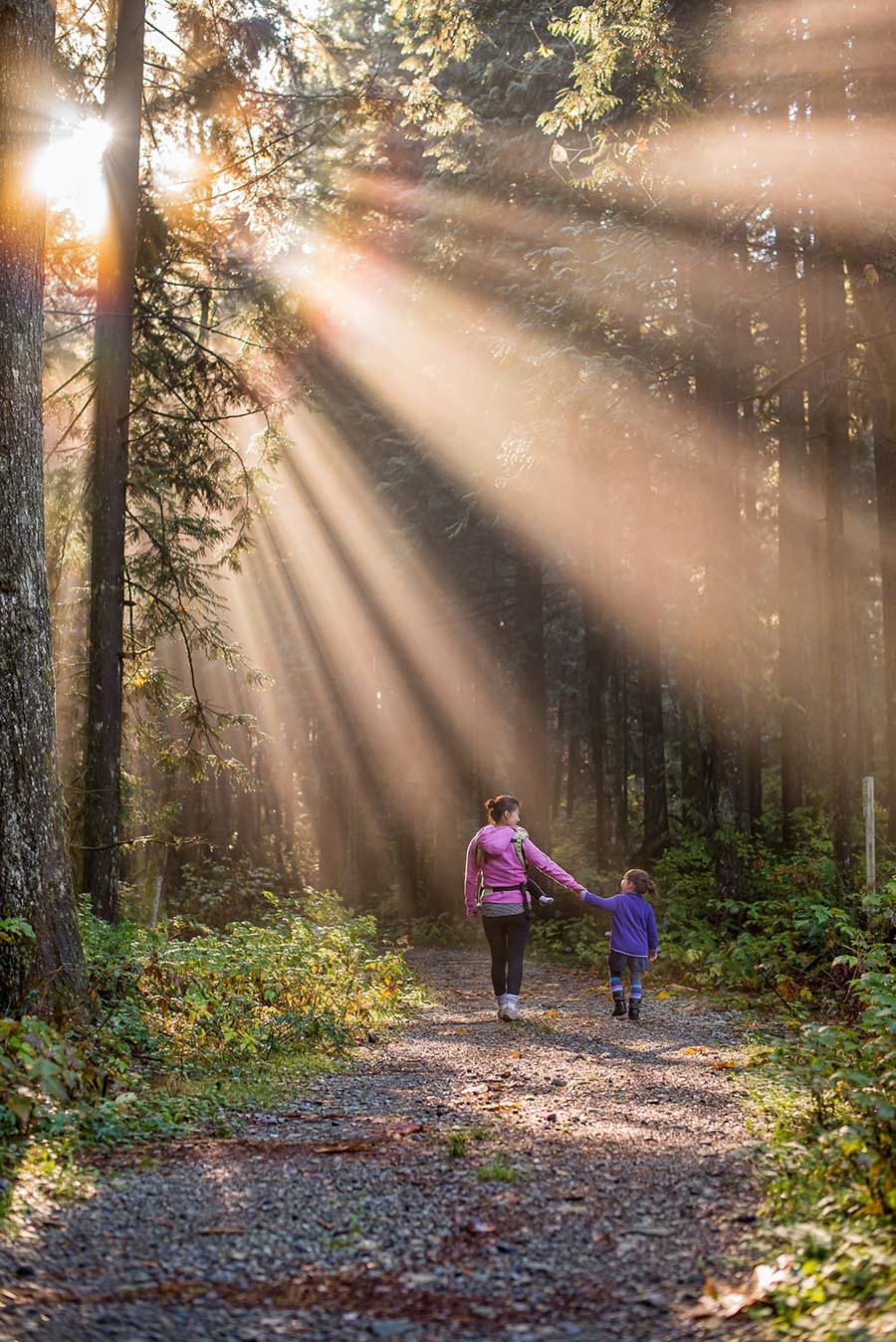 Energie Wandern Laufen Energie Wandern Laufen