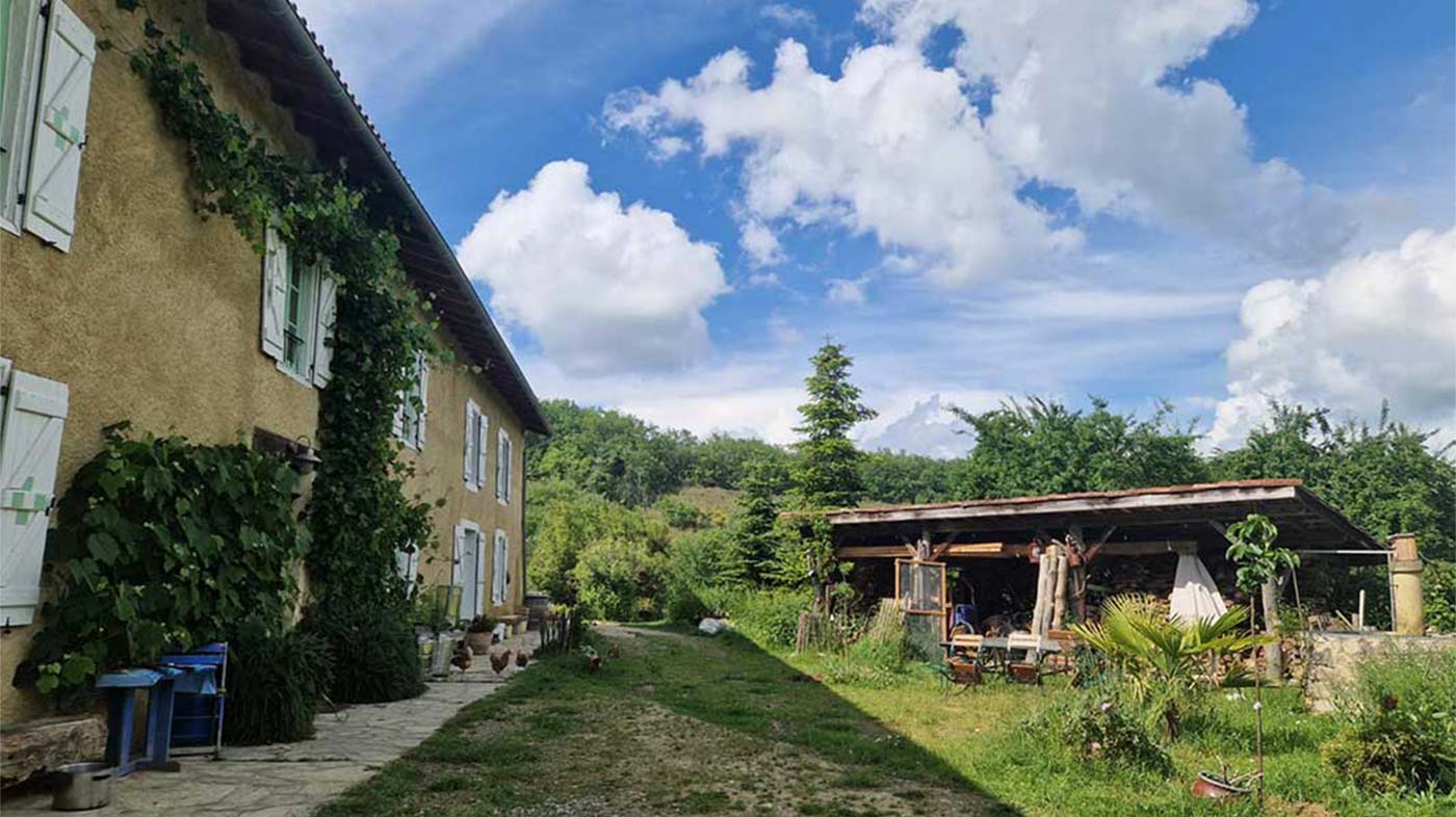 Bio demeter Hof Kasimir Lieselotte Bio demeter Hof Kasimir Lieselotte, Zitronenmelisse