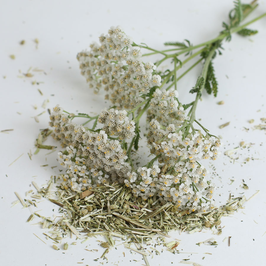 Schafgarbe getrocknet – Blüte und Kraut
