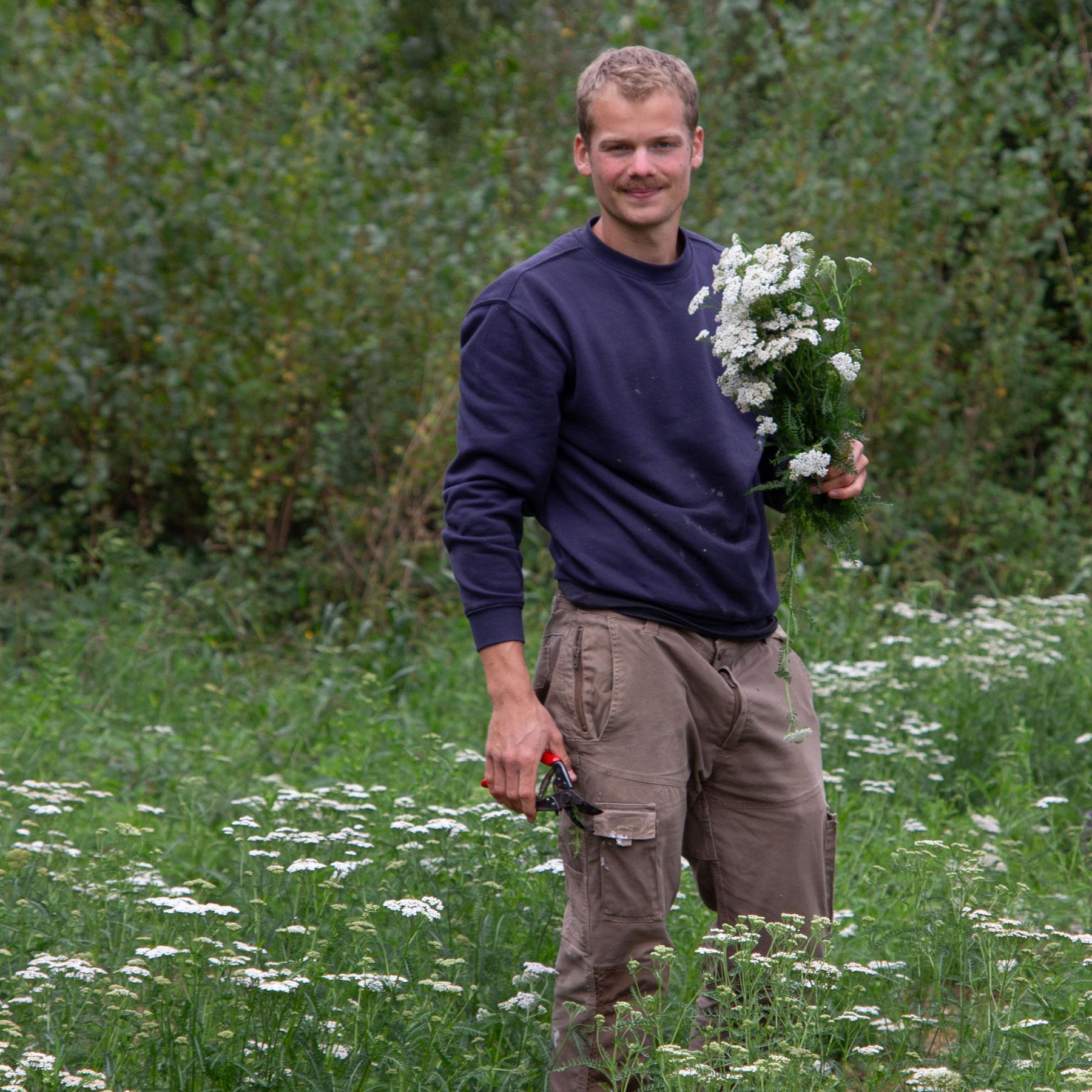 männer, kleidung, blaues hauptstück, bunte wiese, blumenstrauß