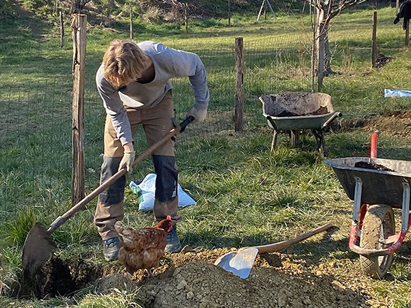 Neuigkeiten vom demeter Hof